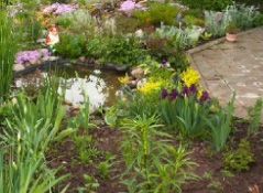 Payson Landscaping Services
